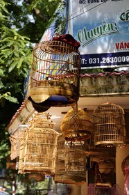 Vietnam, Haiphong, vente d'oiseaux en cages