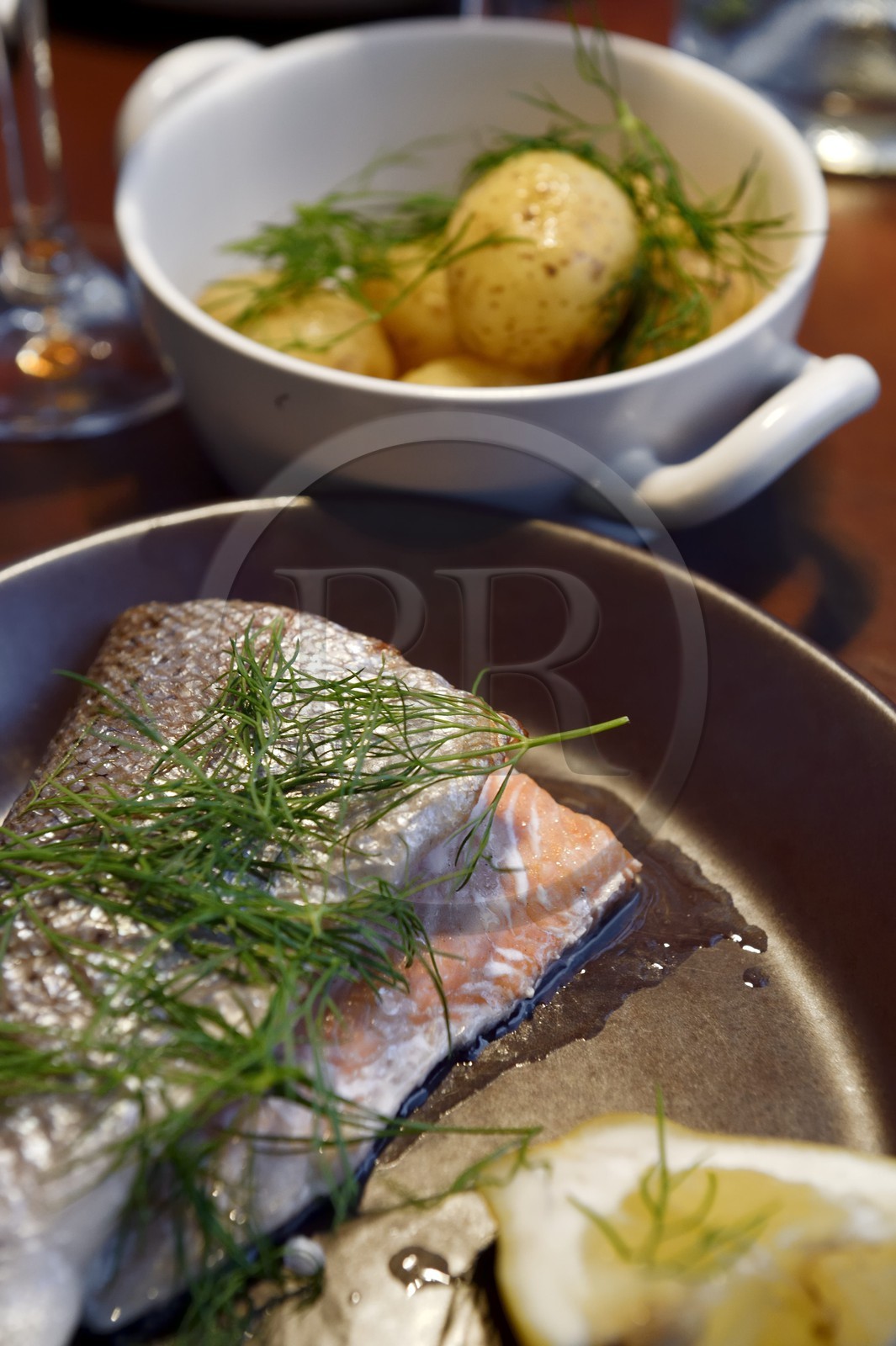 Sweden, Stockholm, Oaxen Krog & Slip restaurant, fresh salmon