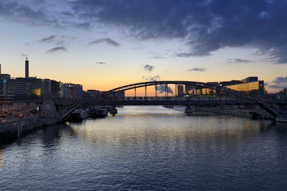 France, Paris (75), viaduc d'Austerlitz et ligne 5 du métro au dessus de la Seine, quai de Bercy et quartier d'affaires de la Gare de Lyon sur la droite