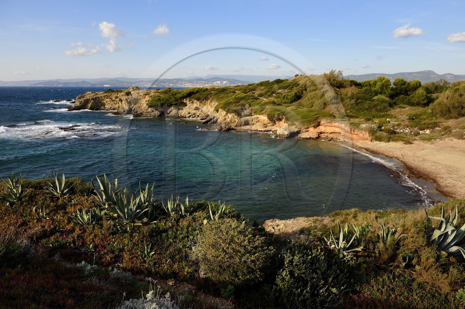 France, Var (83), Ile des Embiez, plage de la Gabrielle sur la côte Nord