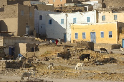 Egypte, Haute Egypte, vallée du Nil, environs de Louxor, Thèbes Ouest, nécropole thébaine, vieux village de Gournah au pied des Tombes des Nobles
