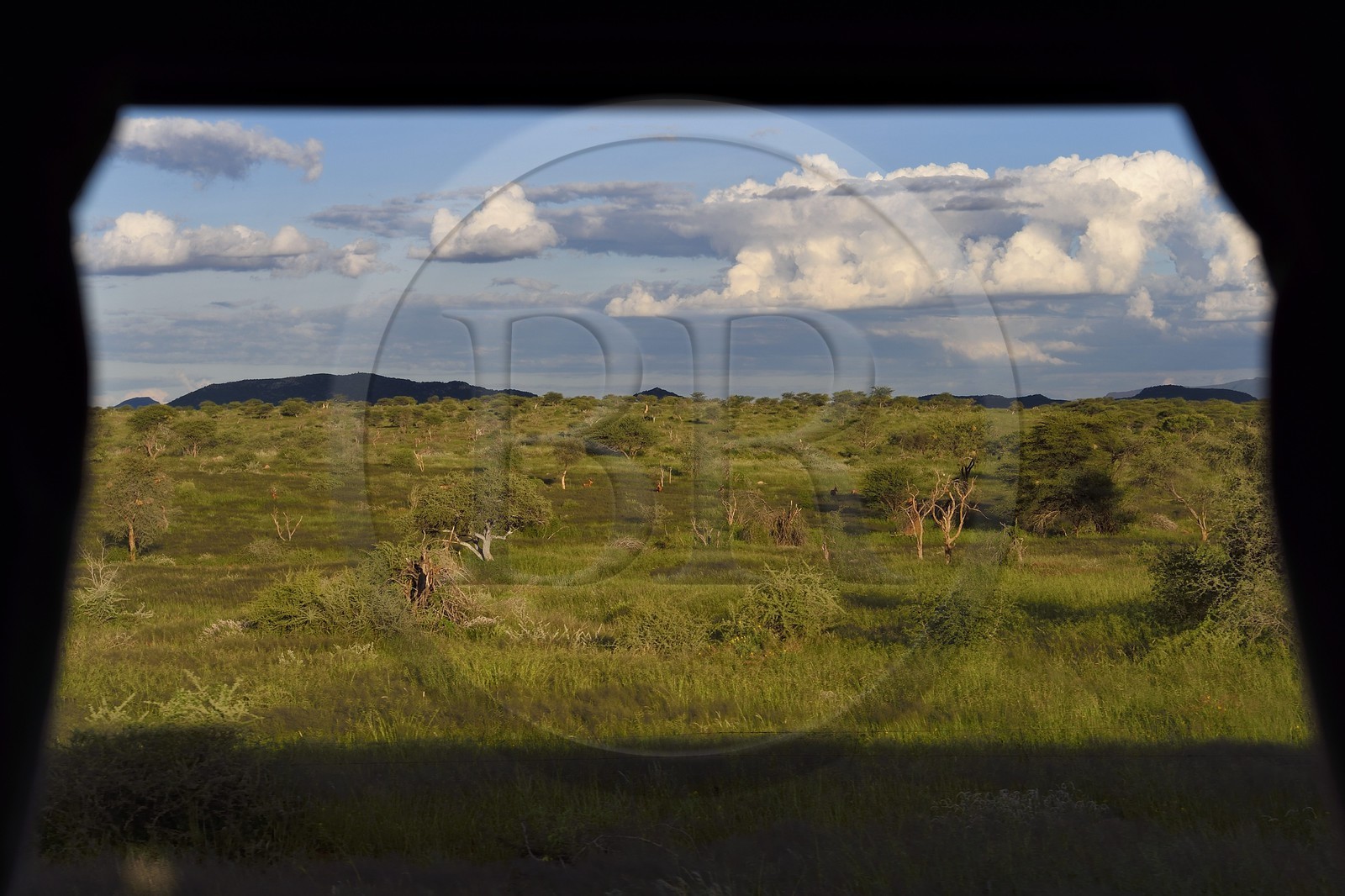 Namibia, Erongo region, landscape from the Shongololo express train