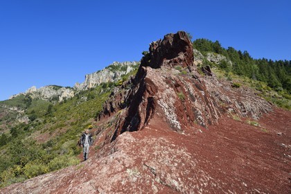 France, Alpes-Maritimes (06), Massif du Mercantour, site natura 2000, L'Ilion, sur les hauteurs des Gorges du Cians aux sols de pélite rouge