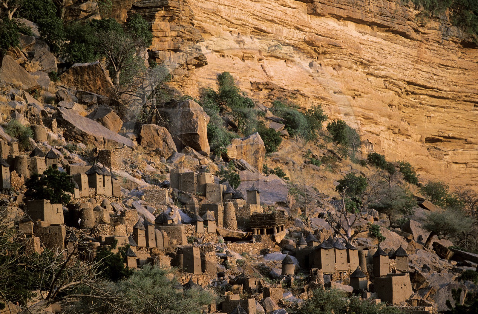 Mali, pays Dogon, falaise de Bandiagara classée Patrimoine Mondial de l'UNESCO, village de Banani, un des quatre quartiers qui composent le village