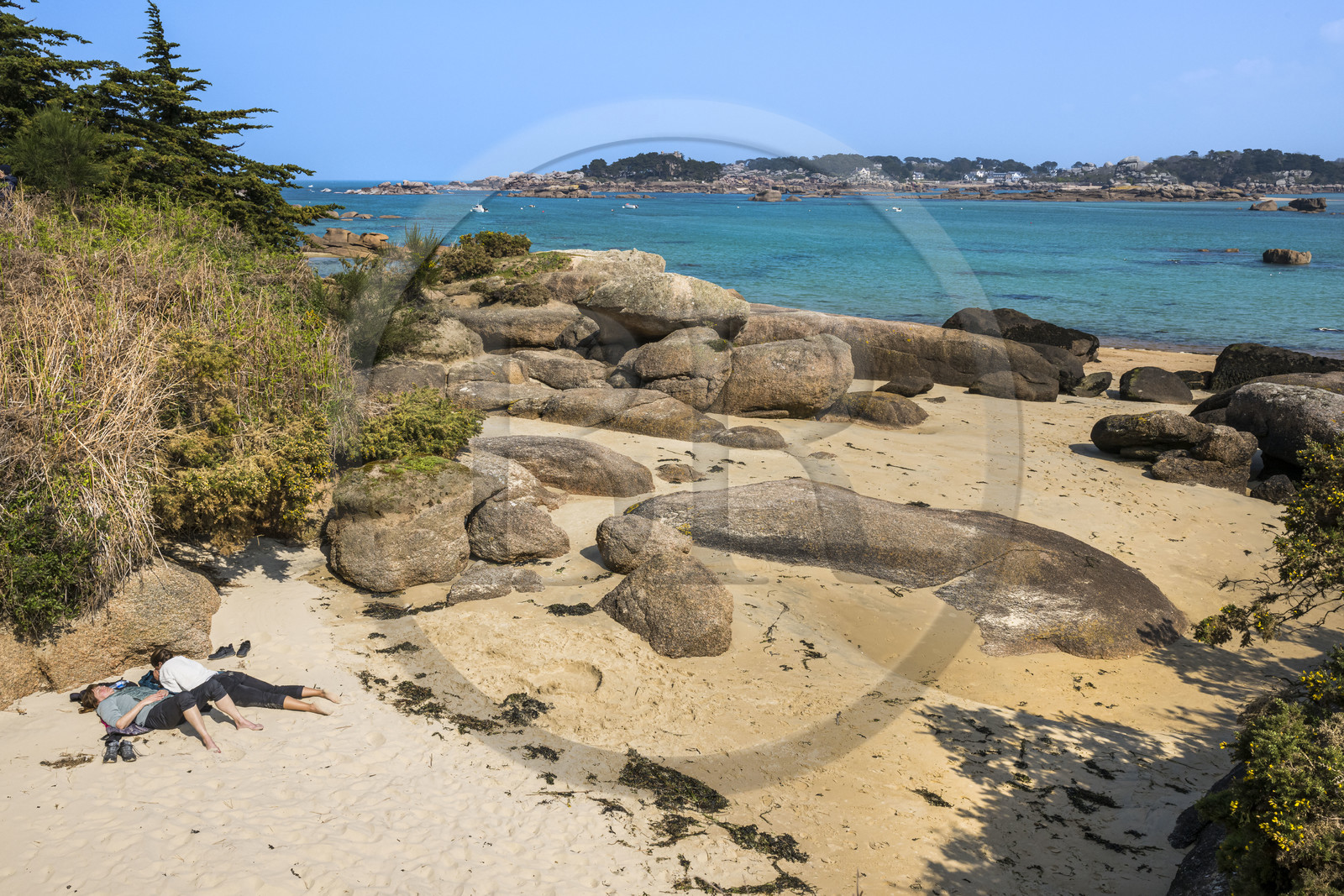 France, Côtes-d'Armor (22), Côte de Granit Rose, Trégastel, Ile Renote, le chaos granitique émerge de la plage à marée basse