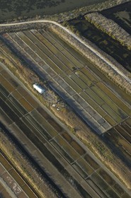 France, Charente-Maritime (17), ile de Ré, le Fier d'Ars, marais salants (vue aérienne)