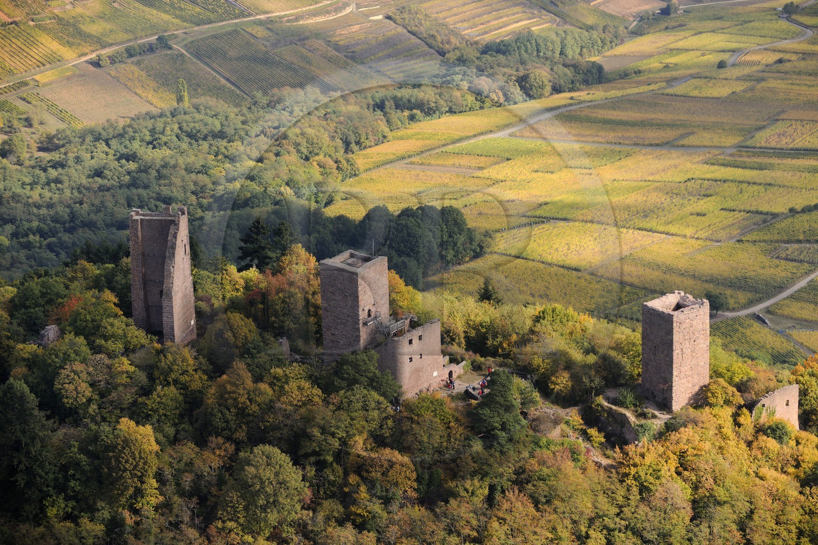 France, Haut-Rhin (68), les trois donjons d'Eguisheim dans le massif des Vosges (photo aérienne)