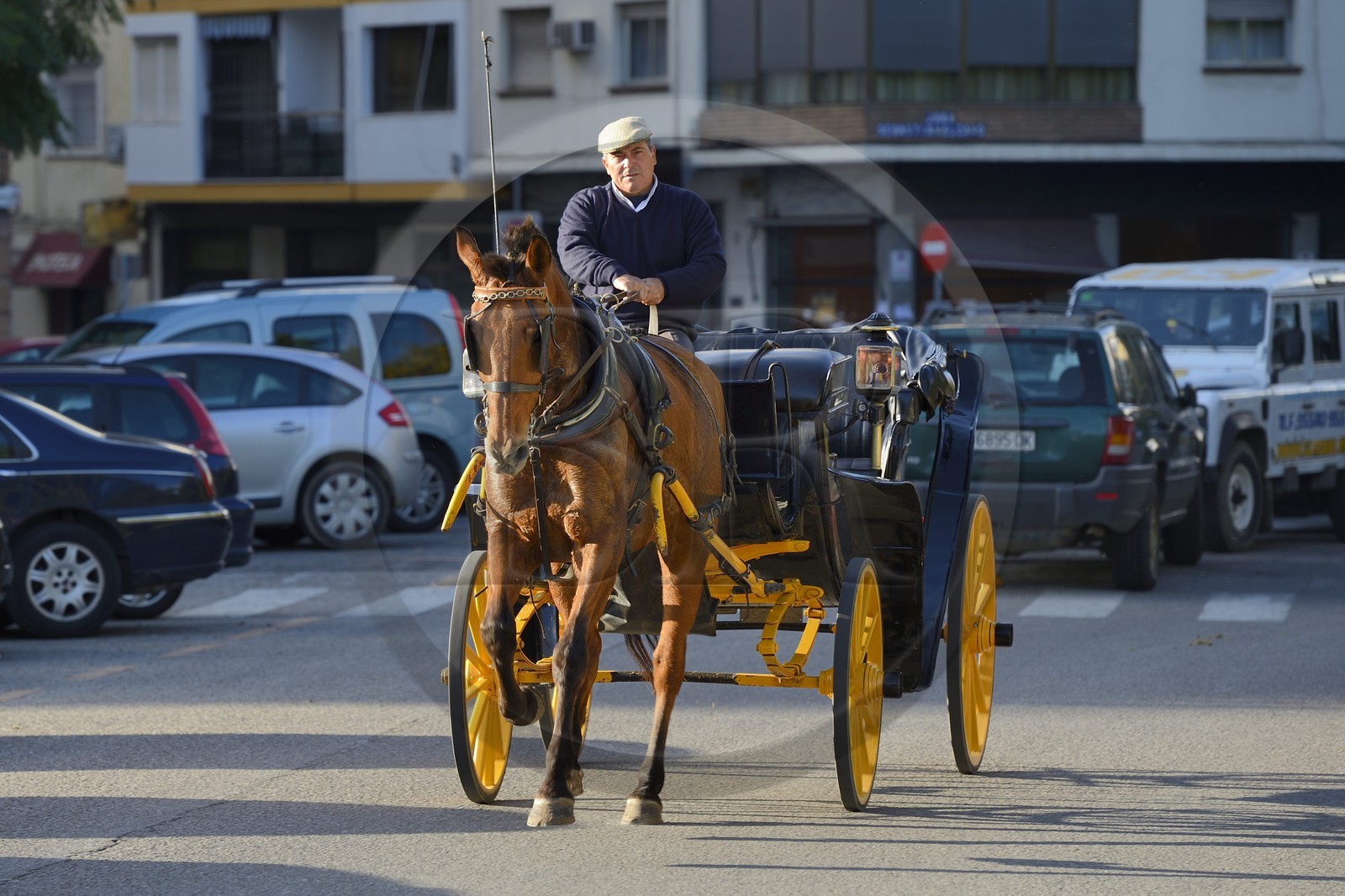 Espagne, Andalousie, Séville,