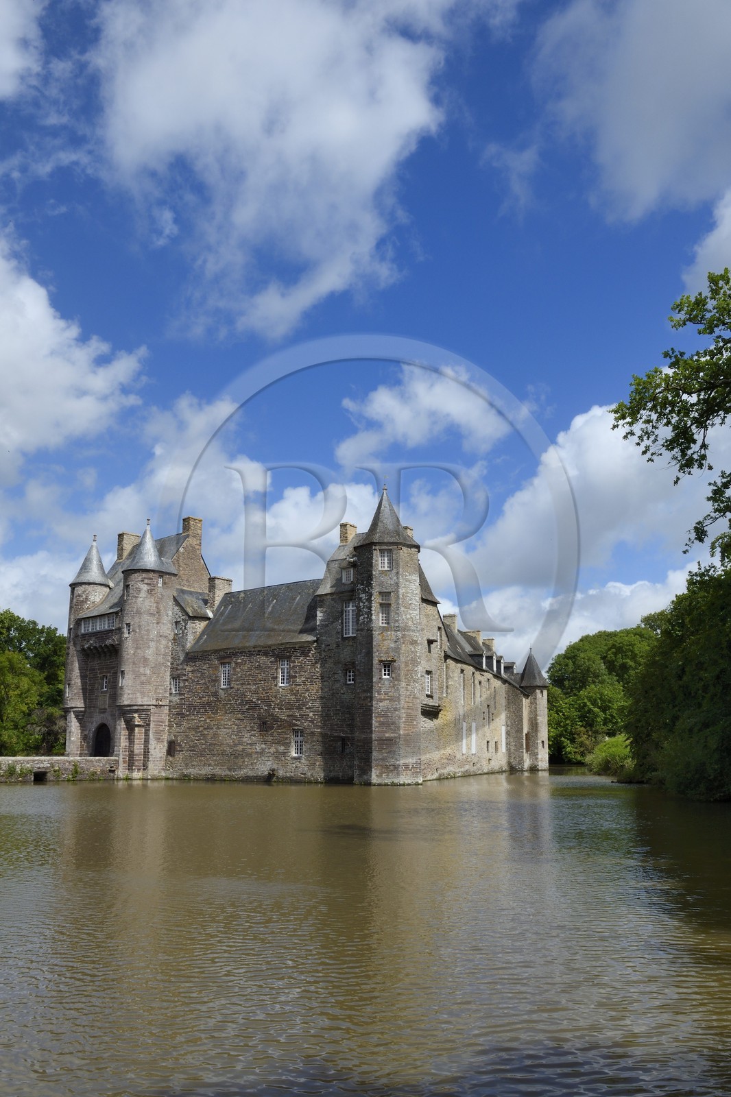 France, Morbihan, forest of Broceliande, Trecesson Castle