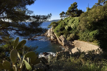 France, Var (83), la rade de Toulon, cap Brun
