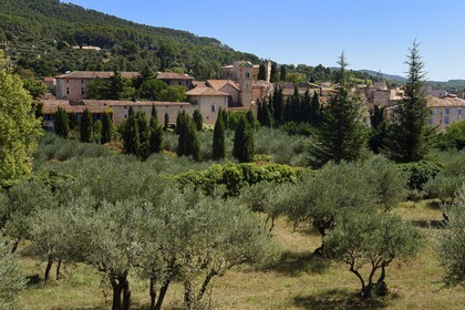 France, Var (83), Parc Naturel Régional du Verdon, village de Aups