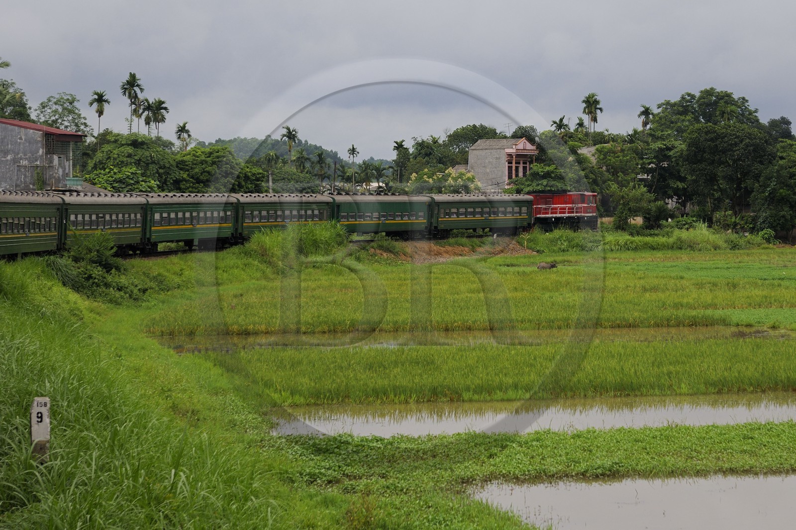 Vietnam, train de jour de Lao Cai à Hanoï