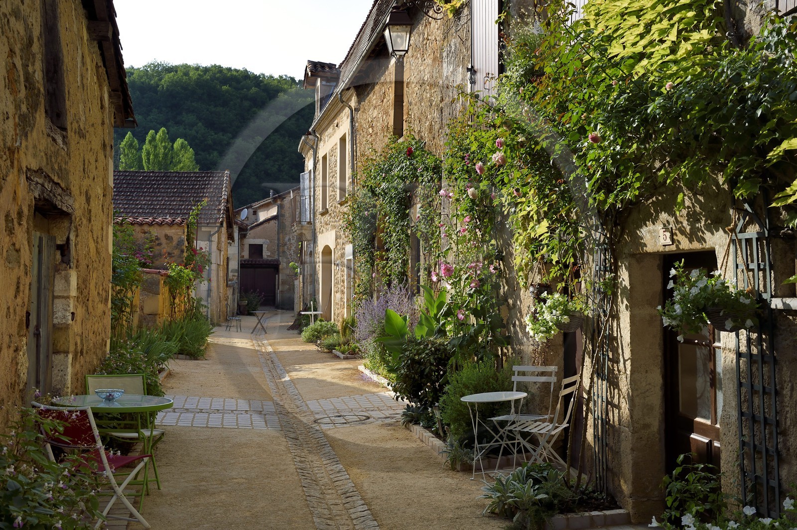 France, Dordogne (24), Périgord Vert, Saint-Jean-de-Côle, labellisé Les Plus Beaux Villages de France, ruelle du village