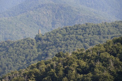 France, Haute-Corse (2B), Castagniccia, Piedicroce, ruines du couvent Saint-François d'Orezza
