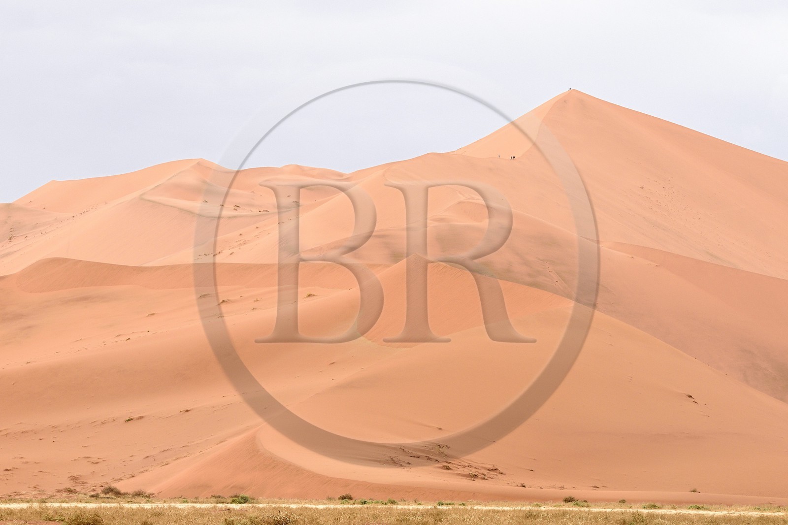 Namibie, région d'Hardap, désert du Namib, parc national du Namib-Naukluft, Erg du Namib classé Patrimoine Mondial de l'UNESCO, dunes de Sossusvlei, randonneurs sur la dune Big Daddy