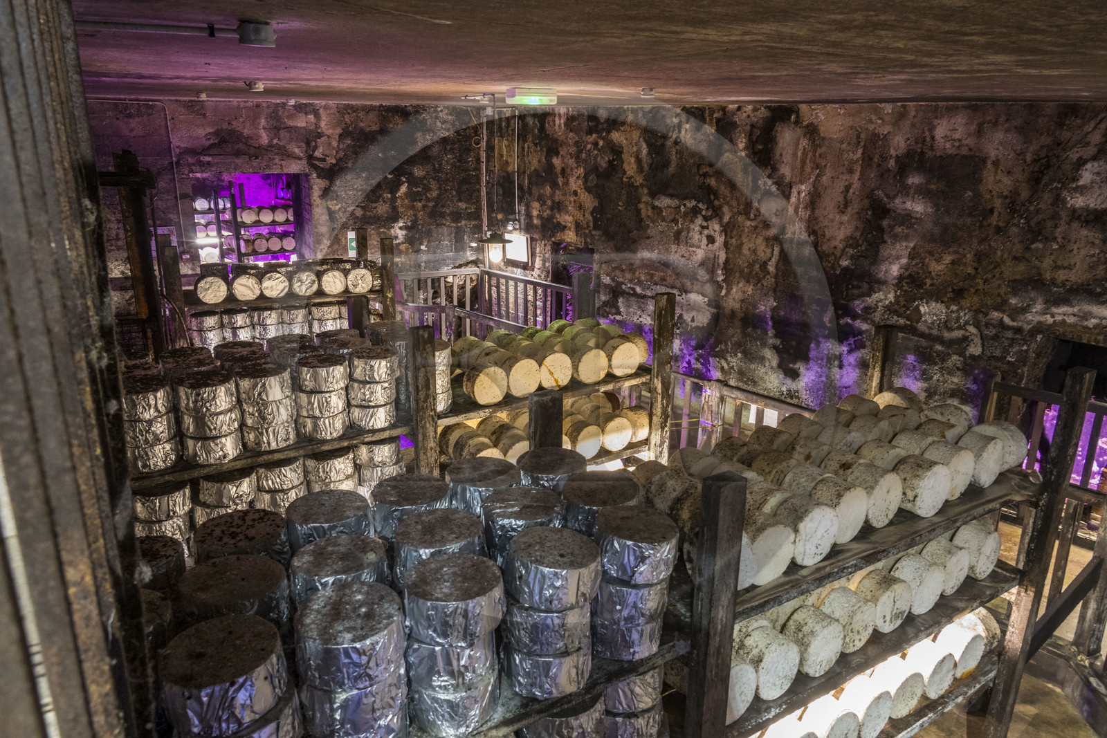 France, Aveyron, Grands-Causses Regional Nature Park, Roquefort sur Soulzon, reconstruction of the Gabriel Coulet Roquefort cheese maturing cellar