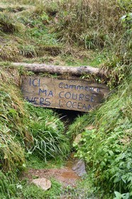France, Ardèche (07), parc naturel régional des Monts d'Ardèche, Massif du Mézenc, au pied du Mont Gerbier-de-Jonc (1551 m), parmis les trois sources de la Loire, la source véritable qui correspond à la source officielle (carte IGN) indiquée sous la ferme du Sagnas