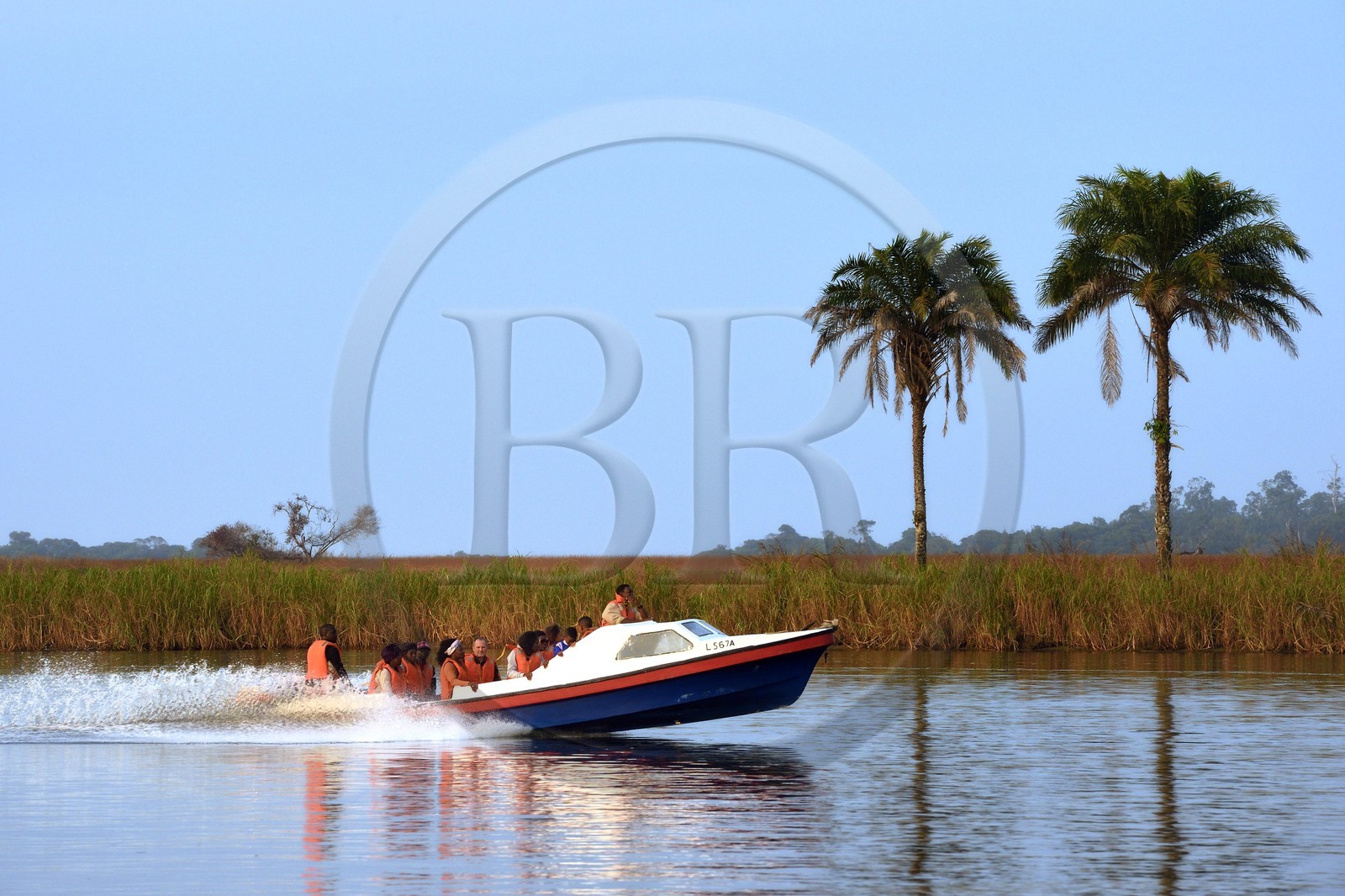 Gabon, province de Ogooué- Maritime, bateau à moteur sur la lagune du Fernan Vaz (Nkomi)