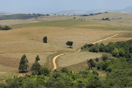 Brésil, Etat du Minas Gerais, région de Carrancas au sud de Sao Joao del Rei, la piste de la Route de l'or (Estrada Real)