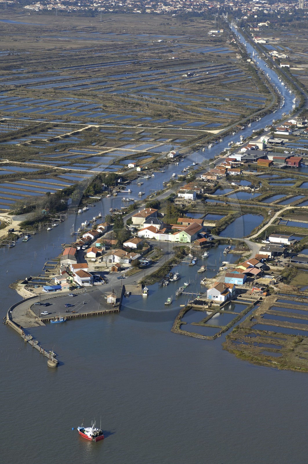 France, Charente-Maritime (17), bassin de Marennes-Oléron, Marennes, Claires et port de la Cayenne (vue aérienne)