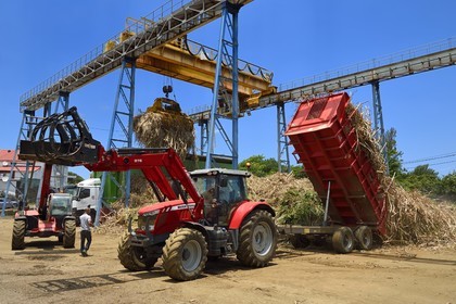 France, Reunion island (French overseas department), Saint-Joseph, one of the 11 sugar cane reception and collection centers also called Balance, the tractors bring the cane from the fields in trailers, it is then weighed and loaded in large trucks called cachalots to be transported to the sugar factory Gol