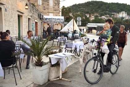 Croatia, Dalmatia, Dalmatian coast, Island of Vis, village of Vis, dalmatian dog and his master