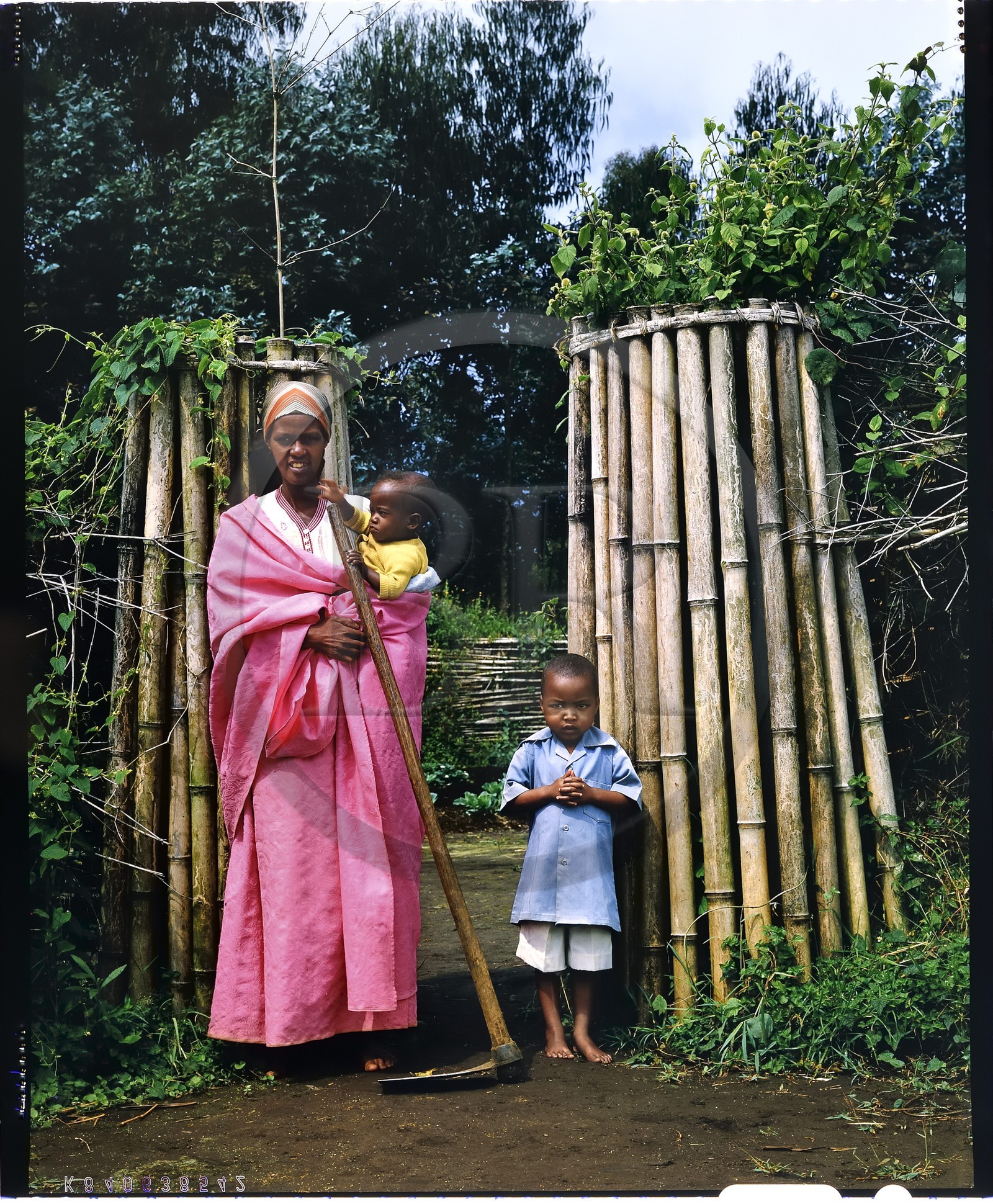 Burundi, province de Bujumbura, région d'Ijenda, jeune mère Tutsi et ses enfants devant l'enceinte principale du rugo (ferme traditionnelle) et de l'enclos à bétail, l'entrée principale peut être obstruée rapidement grâce aux branchages placés à coté de la porte (reproduction plan-film inversible 4x5)