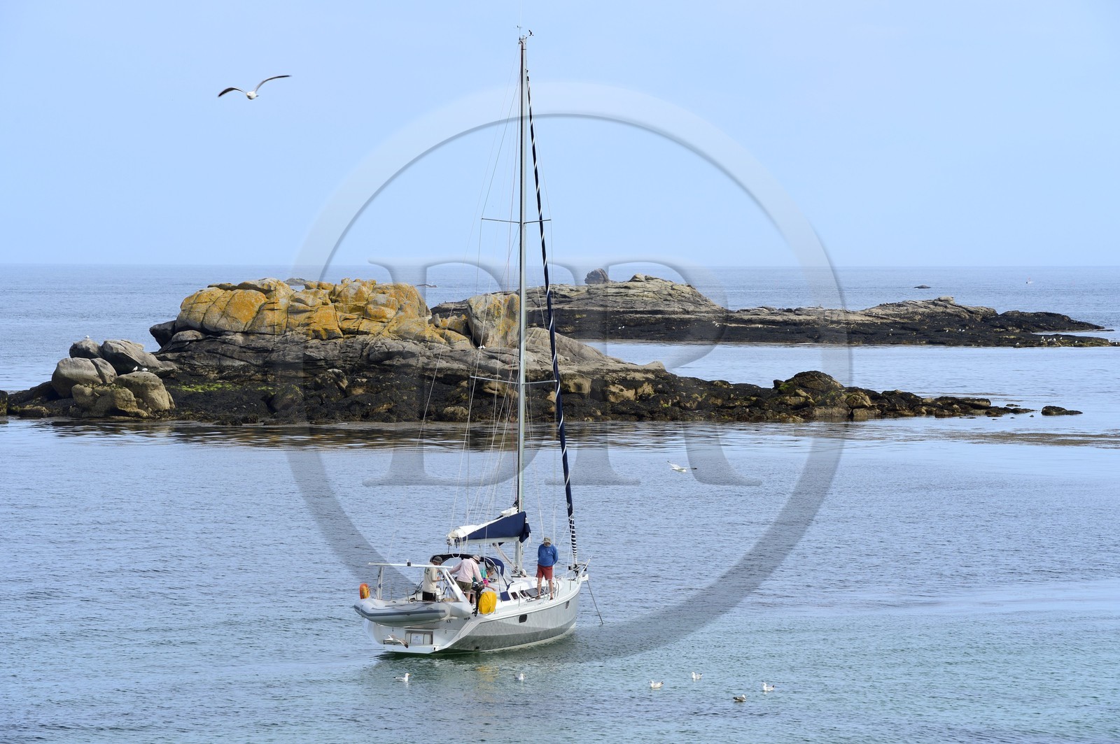 France, Finistère (29), La Foret Fouesnant, archipel des Glénan, Ile de Penfret, voilier au mouillage