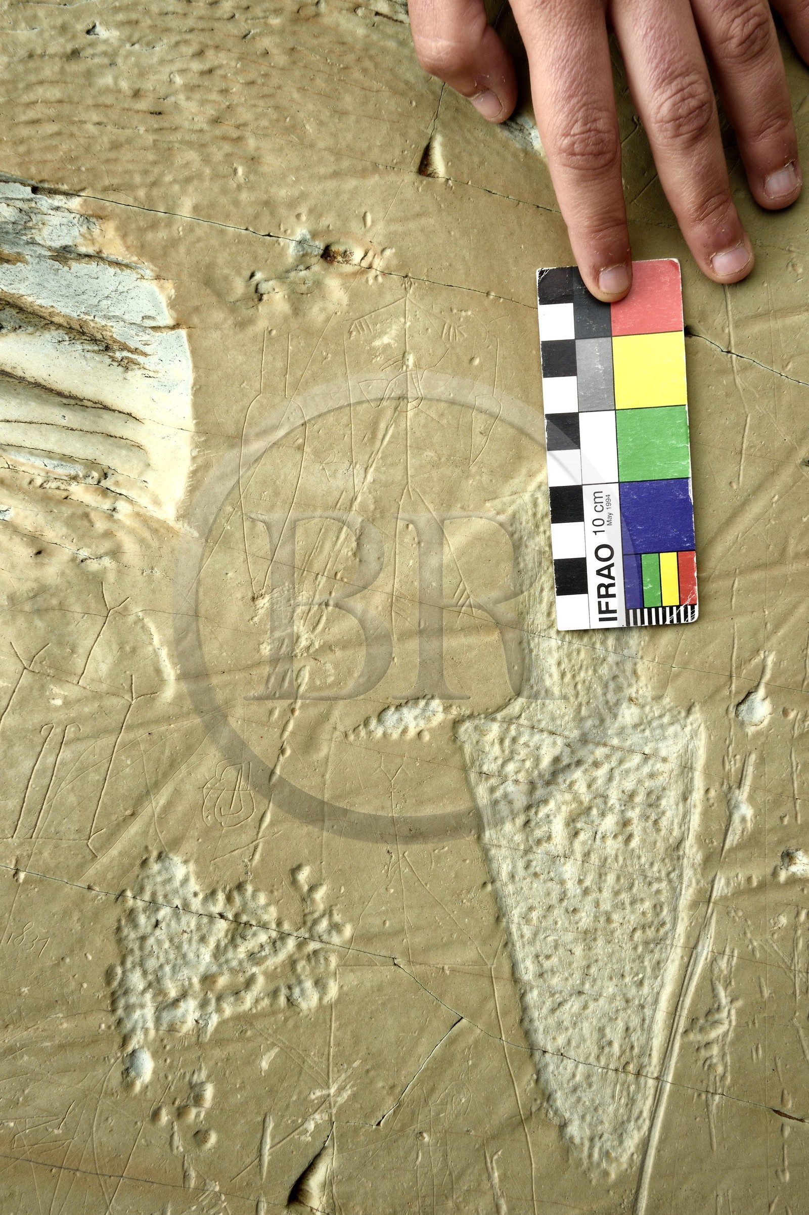 France, Alpes-Maritimes, parc national du Mercantour (Mercantour National Park), the Vallee des Merveilles (Valley of Wonders) scattered with thousands of rupestral engravings of the Bronze Age, the chiappes yellow schist flagstones, linear etchings of a man with a dagger left and a spearhead right, a studded engraving of a dagger at the bottom