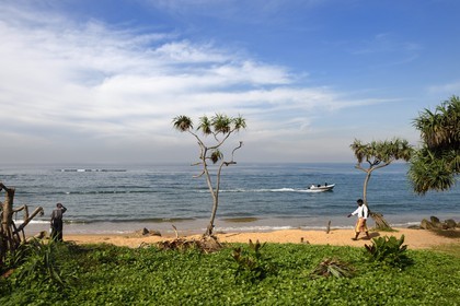 Sri Lanka, province de l'ouest, district de Colombo, Colombo, une des nombreuses plages qui bordent la ville