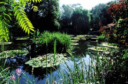 France, Eure (27), Giverny, le jardin de Claude Monet