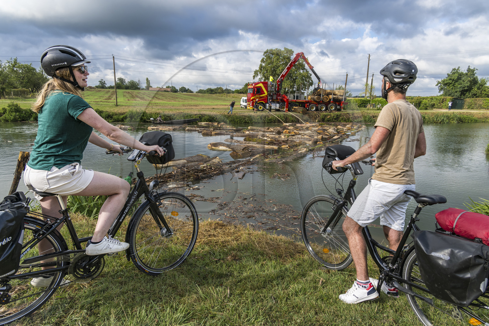 France, Deux-Sèvres (79), le Marais Poitevin, la Venise Verte, Magné, randonnée à bicyclette le long de la Sèvre Niortaise, flottage du bois