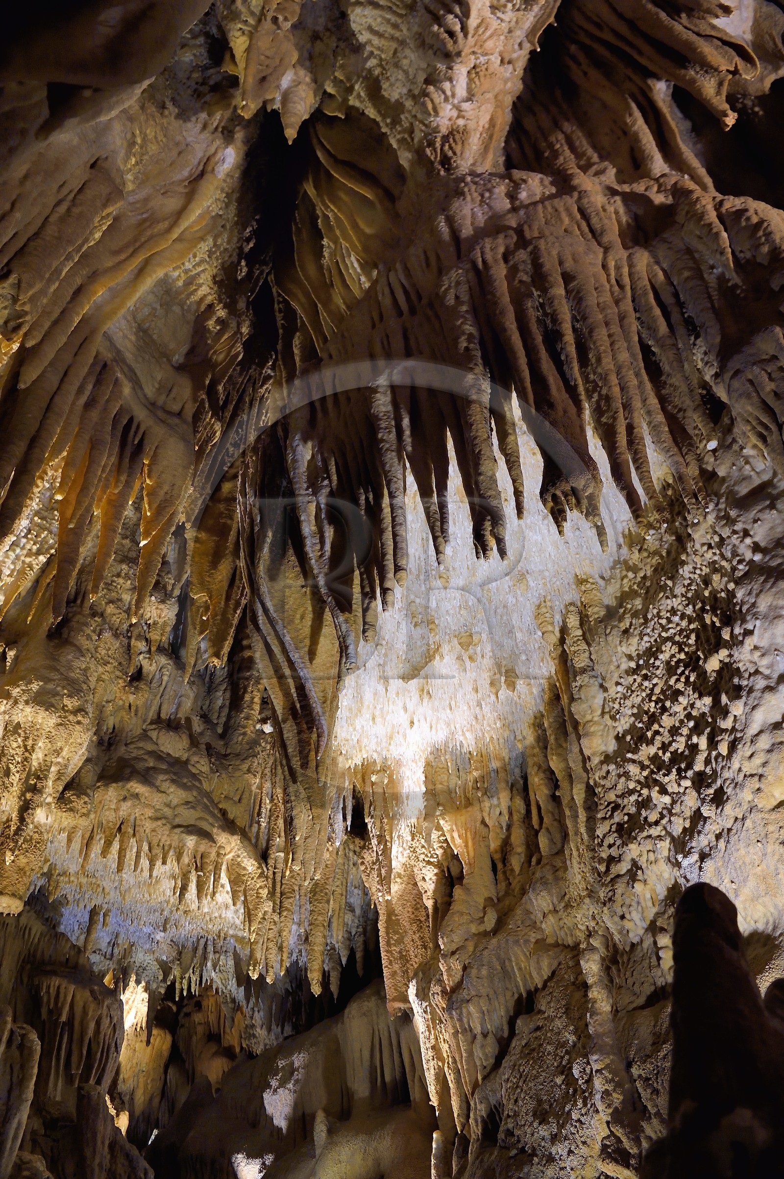 France, Dordogne (24), Périgord Vert, Villars, Grotte de Villars, concrétions dans les grottes, fistuleuses en blanc et stalactites