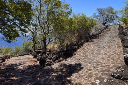 France, Ile de la Reunion, La Possession, le chemin Crémont aussi appelé chemin des Anglais, ancienne route pavé de basalte depuis 1775 qui longe le bord de la falaise de la cote nord-ouest devenu sentier de randonnée