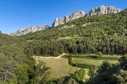France, Vaucluse (84), Dentelles de Montmirail, Gigondas, la montagne des Dentelles Sarrasines et les vignobles en restanques au col du Cayron (vue aérienne)