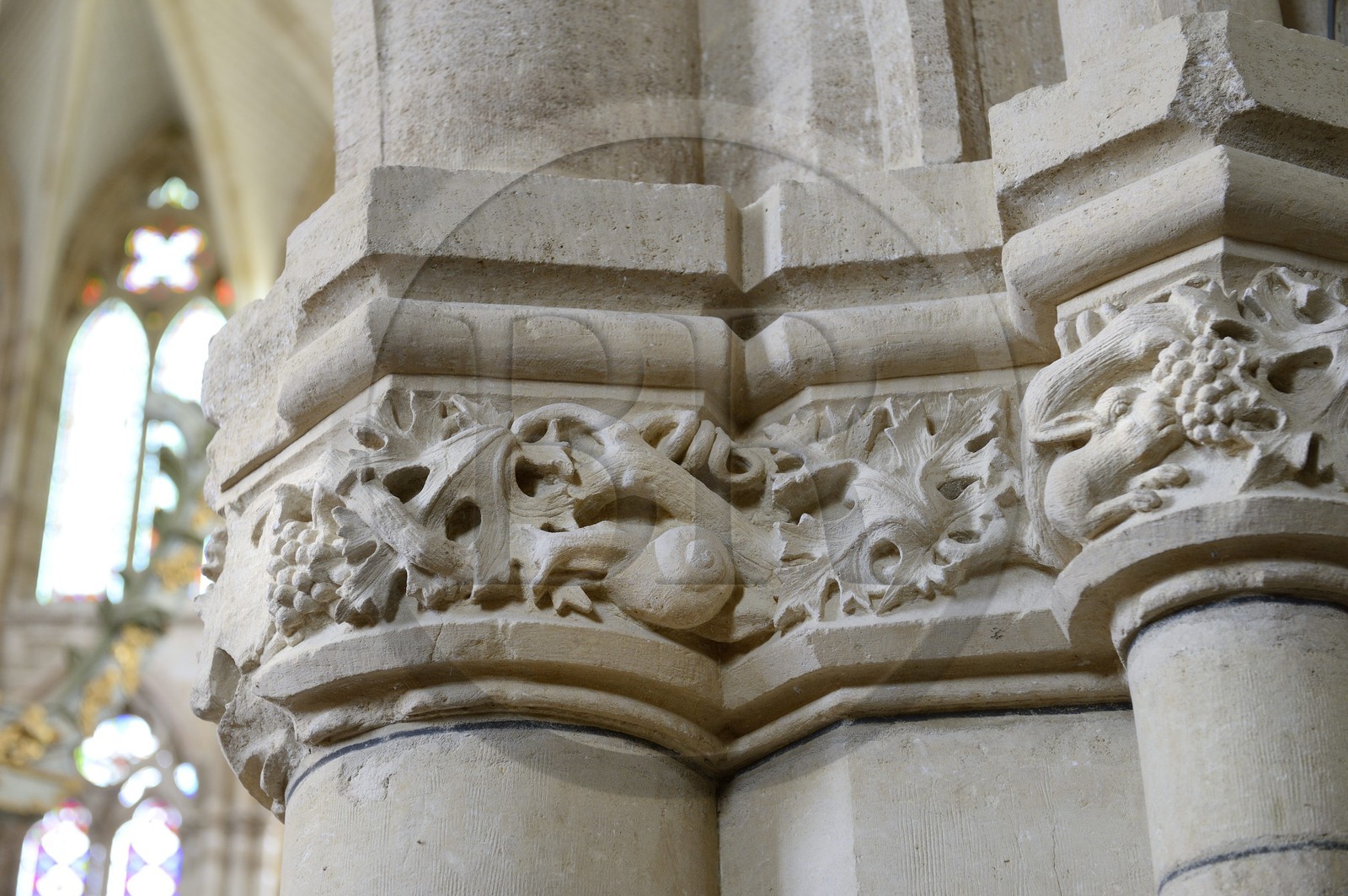 France, Marne (51), village de Saint-Amand-sur-Fion, église Saint-Amand, frise évoquant la vie du village, ici la vigne et ses prédateurs