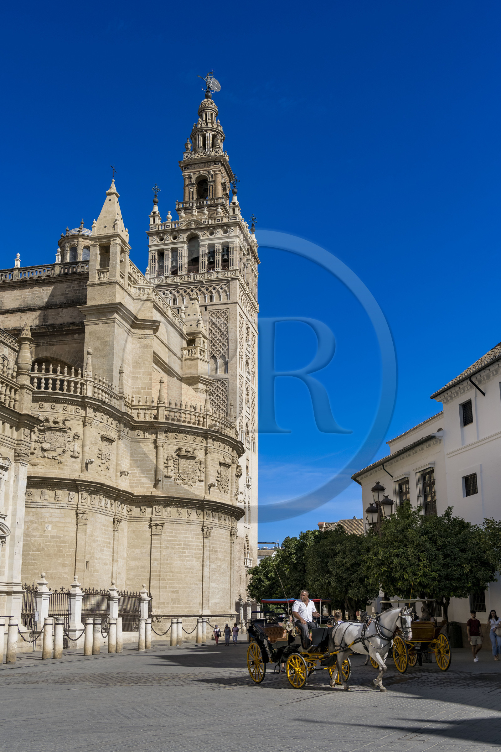 Espagne, Andalousie, Séville, quartier de Santa Cruz, la Giralda, ancien minaret almohade de la Grande Mosquée reconverti en clocher de la cathédrale, classé Patrimoine Mondial de l'UNESCO