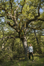 France, Var (83), Provence Verte, Bras, Académie du Bain de Forêt Provençale, forêt du domaine Le Peyrourier - une campagne en Provence