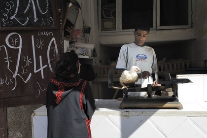 Maroc, Moyen Atlas, Fès, ville impériale, médina classée Patrimoine Mondial de l'UNESCO, Fès el Bali, vendeur de poules dans son échope