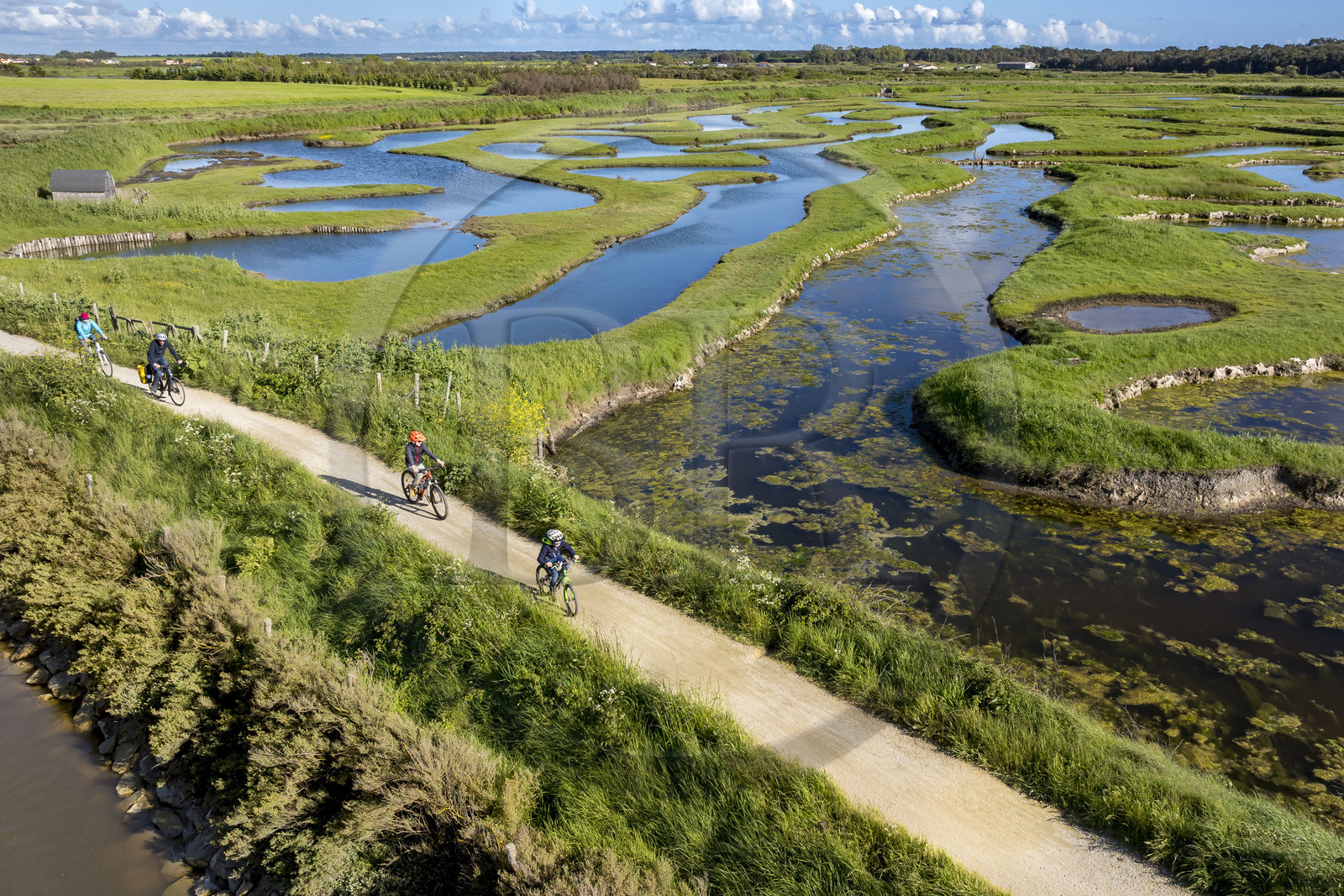 France, Vendée (85), Talmont Saint Hilaire, Guittière marshes in the hinterland of Pointe du Payré, cyclist on the Vendée Vélo Tour and Vélodyssée cycle route et the passage du Cul d’Ane, marshes developed for fish farming of sea bream, mullet and eels (aerial view)