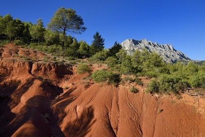 France, Bouches-du-Rhône (13), Pays d'Aix en Provence, vers le Tholonet, la Montagne Sainte Victoire, route Cézanne