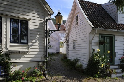 Norvège, Hordaland, Bergen, maisons en bois du quartier de Rosegren