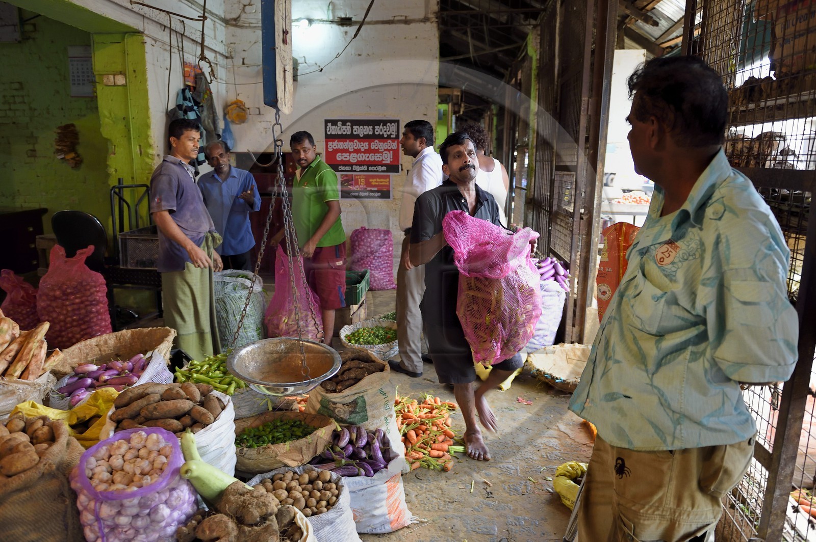 Sri Lanka, province de l'ouest, district de Colombo, Colombo, le marché de fruits et légumes Manning dans le quartier de Pettah