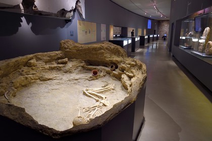 France, Alpes-de-Haute-Provence (04), Parc Naturel Régional du Verdon, Quinson, Musée de préhistoire des Gorges du Verdon conçu par l'architecte Norman Foster, sépulture de la Fare (Forcalquier) datant du Néolithique environ 2500 av. J-C