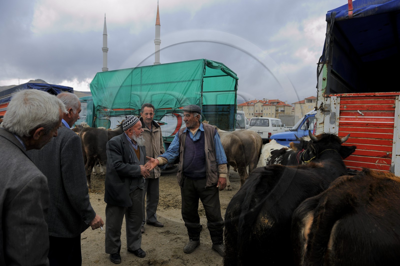 Turquie, Anatolie Centrale, province de Nevsehir, Cappadoce classée Patrimoine Mondial de l'UNESCO, marché aux bestiaux d' Ürgüp