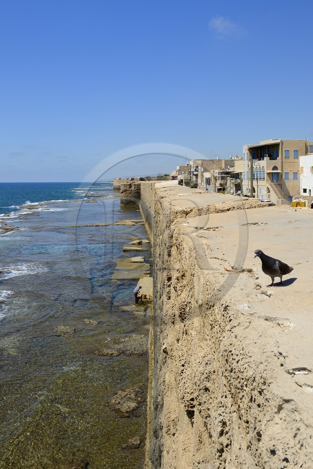 Israel, district Nord, Galilée, Acre (Akko), vieille ville, classée Patrimoine Mondial de l'UNESCO, muraille maritime occidentale