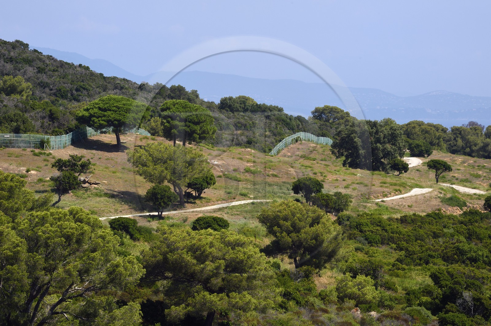 France, Var (83), Iles d'Hyères, Parc national de Port Cros, Ile du Levant, mur de séparation entre la zone militaire au premier plan et la zone civile d'Héliopolis en arrière plan