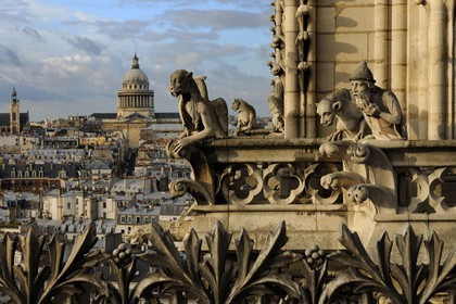 France, Paris (75), île de la Cité, la cathédrale Notre-Dame, les chimères observent la ville dont le morse et l'alchimiste