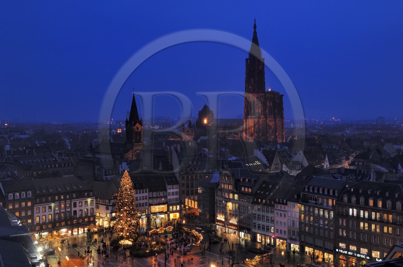 France, Bas Rhin (67), Strasbourg, le Grand Sapin de Noel de la place Kleber et la cathedrale