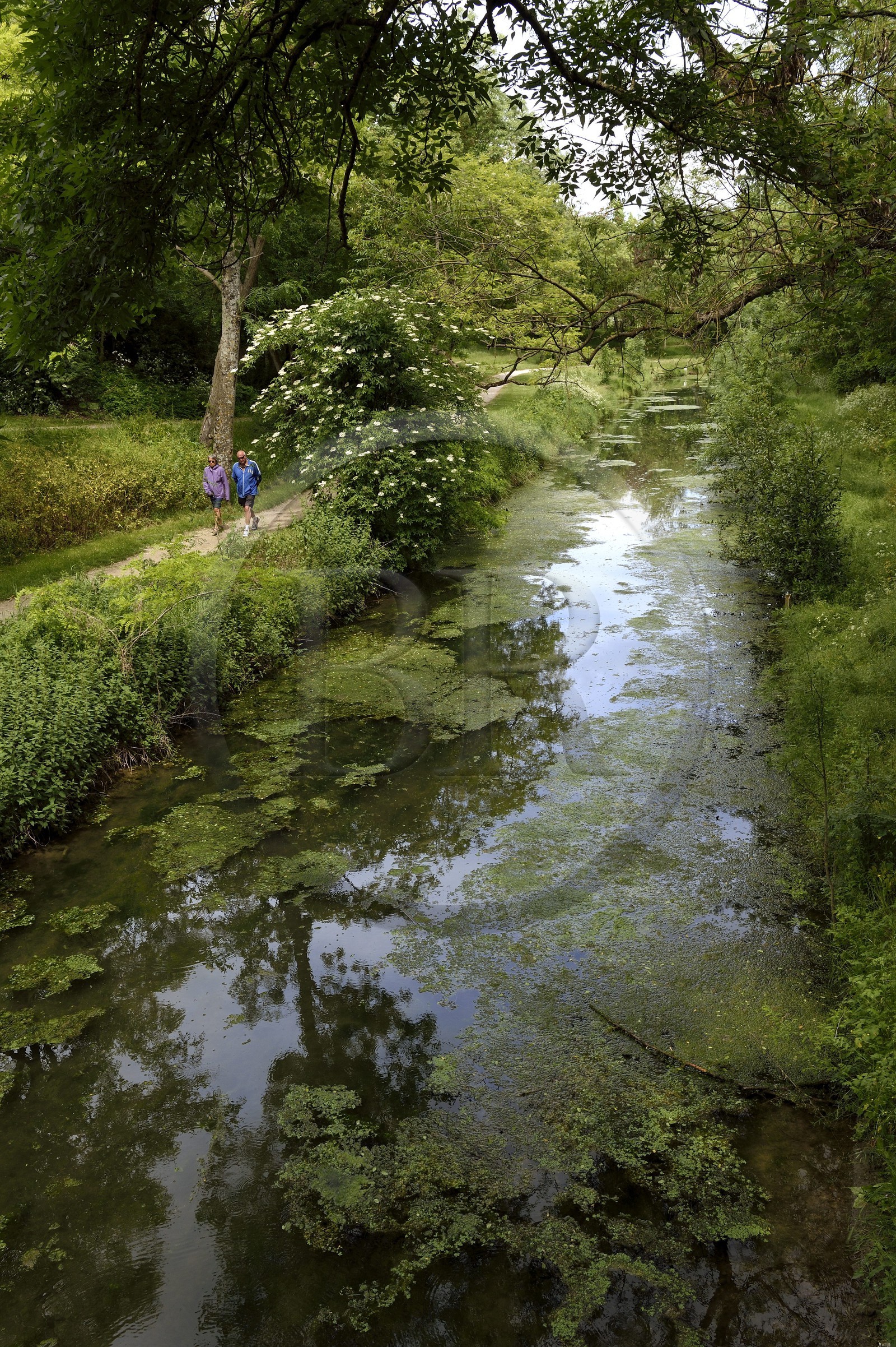 France, Charente-Maritime (17), La Rochelle, Parc Charruyer